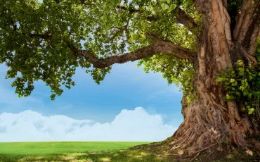 Quiz Astrologie