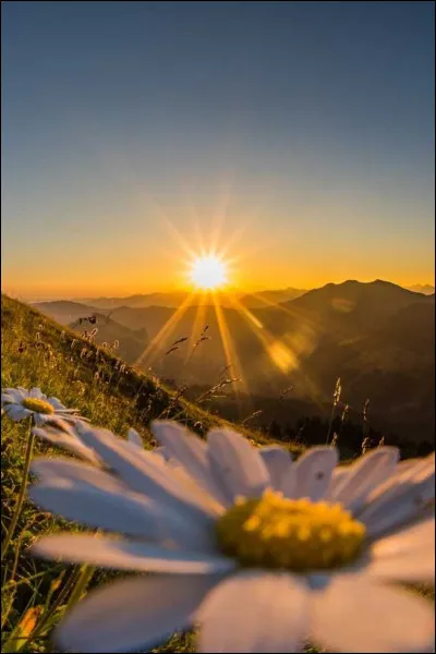 Quel est ton moment préféré de la journée ?