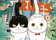 Quiz Chats des rues !