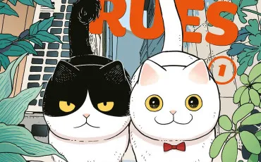 Quiz Manga