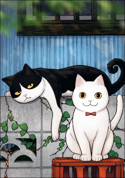 Qui sont les deux personnages principaux ?