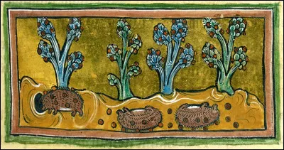 Au XIIe siècle, on pensait que les poils durs du hérisson servaient de...