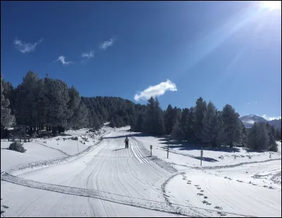 Quelle espèce d'animal est un ligan ?