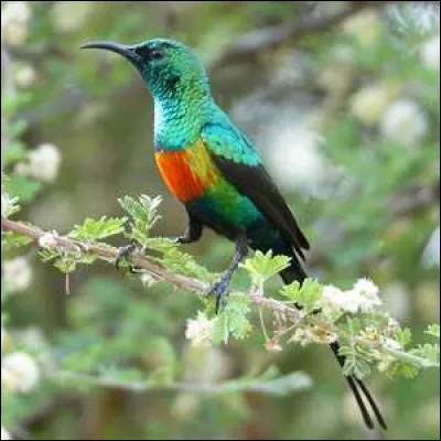 Et le vin de l'année, quel nom lui donnait-on ?