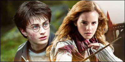 Comment s'appelle le premier mot de passe pour pénétrer dans la salle commune de Gryffondor dans le tome 1 ?