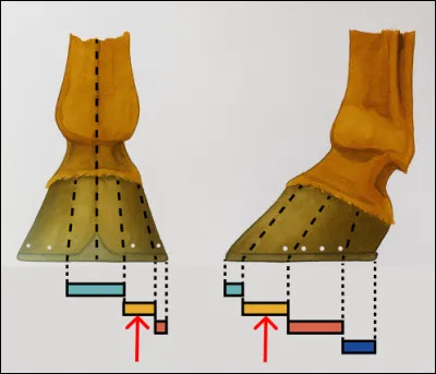 Qu'est-ce que c'est ?