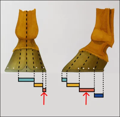 Qu'est-ce que c'est ?