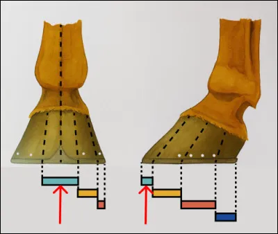 Qu'est-ce que c'est ?