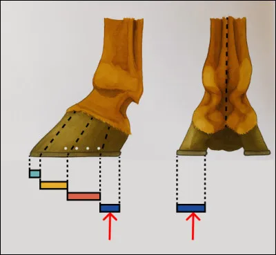 Qu'est-ce que c'est ?