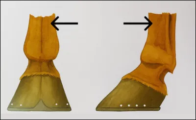 Qu'est-ce que c'est ?