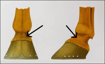 Qu'est-ce que c'est ?