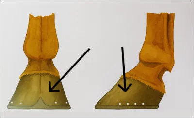 Qu'est-ce que c'est ?