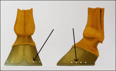 Qu'est-ce que c'est ?