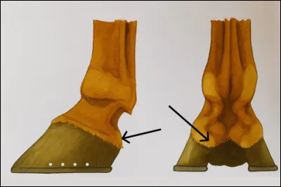 Qu'est-ce que c'est ?
