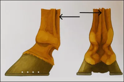 Qu'est-ce que c'est ?