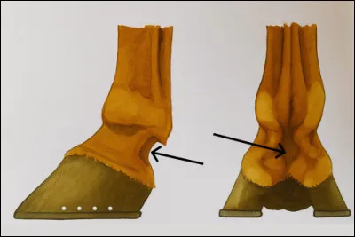 Qu'est-ce que c'est ?