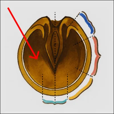 Qu'est-ce que c'est ?