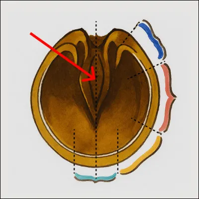 Qu'est-ce que c'est ?