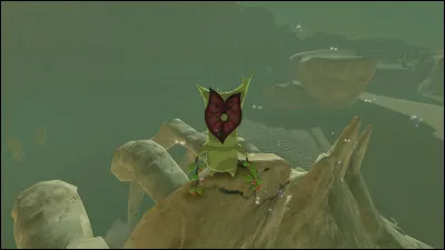 Combien y a-t-il de Korogus ?