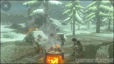 Lequel de ces ingrédients n'existe pas dans Zelda 1 et 2 ?