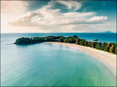 Qui a été éliminé(e) à cause dune blessure ?