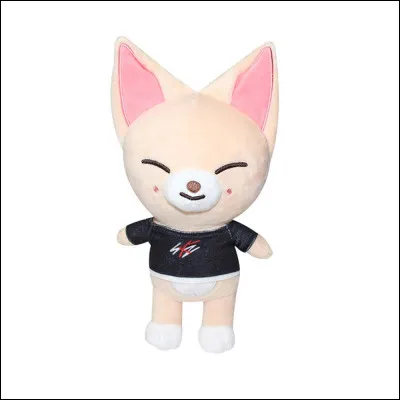 Comment s'appelle son Skzoo ?