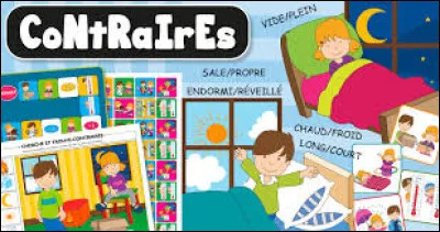 Comment appelle-t-on les mots de sens contraire ?