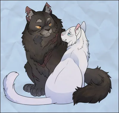 Et qui a du lien de sang avec Douce Brise parmi ces chats ici présents ?