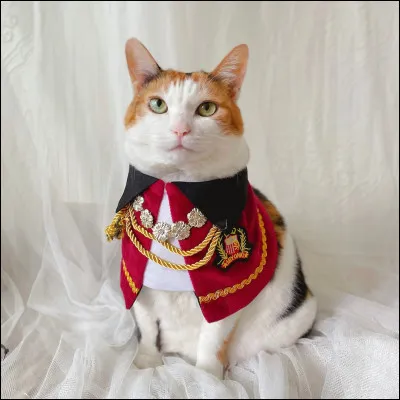 Est-ce que le mot ''adorable'' te définit ?