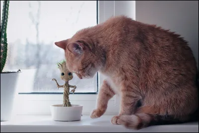 Est-ce que le mot ''mature'' te définit ?