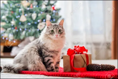 Est-ce que le mot ''généreux(se)'' te définit ?