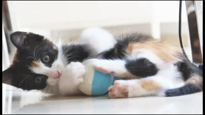 Est-ce que le mot ''créatif(ve)'' te définit ?