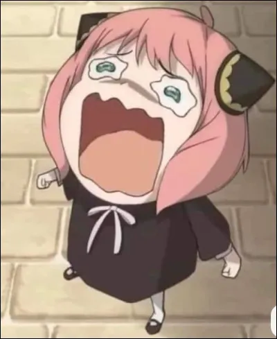 Quel est ton défaut ?