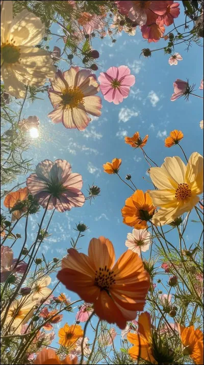 Quelle est ta couleur préférée parmi ces choix ?