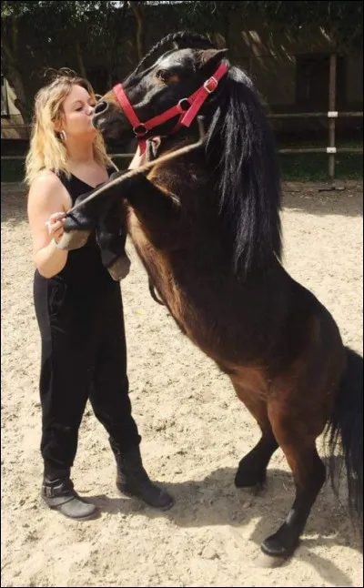 De quelle race est ce poney ?