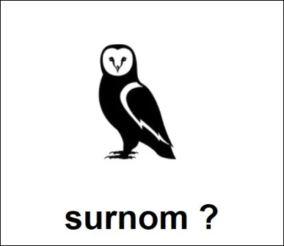 Quel surnom donne-t-on parfois au hibou ?