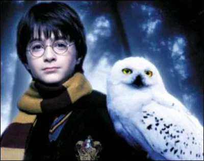 Quel est le nom du hibou d'Harry Potter'' ?