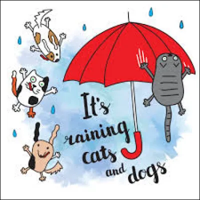 Que signifie l'expression "Its raining cats and dogs" ?