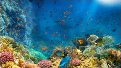 Quelle "mer" n'existe pas ?