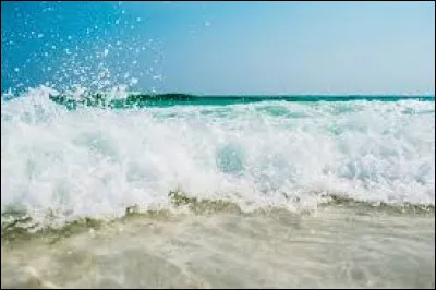 Comment appelle-t-on un expert de la mer ?