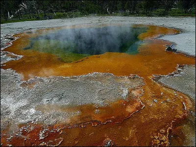 Mrs Jardine est l'une des protagonistes de...