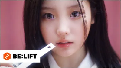 De combien de membres le groupe aurait-il dû être composé ?