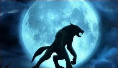 Quel est ton plus gros atout ?