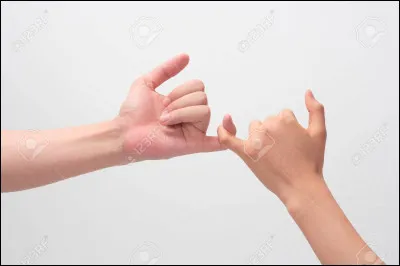 Pour quelle raison le titre est-il "La Promesse de l'aube" ?