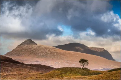 Qui est Totoche dans ''La Promesse de l'aube'' ?