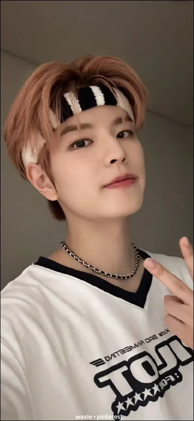 Quelle est sa position dans Stray Kids ?