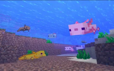 Quiz Minecraft