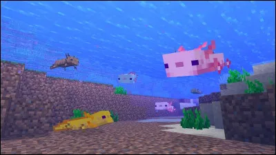 Quel est ce mob ?