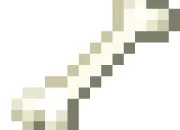 Quiz Es-tu fort  Minecraft ?