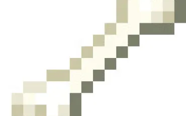 Quiz Minecraft